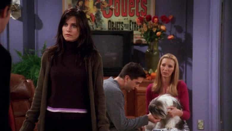 8. Bölüm