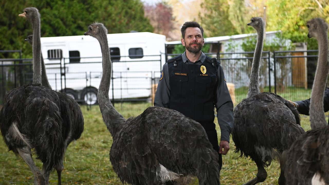 Animal Control 1. Sezon 1. Bölüm kapak