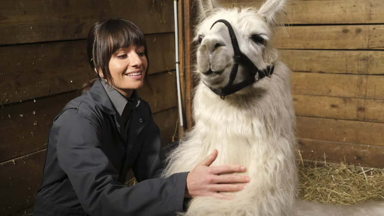 Animal Control 1. Sezon 6. Bölüm kapak
