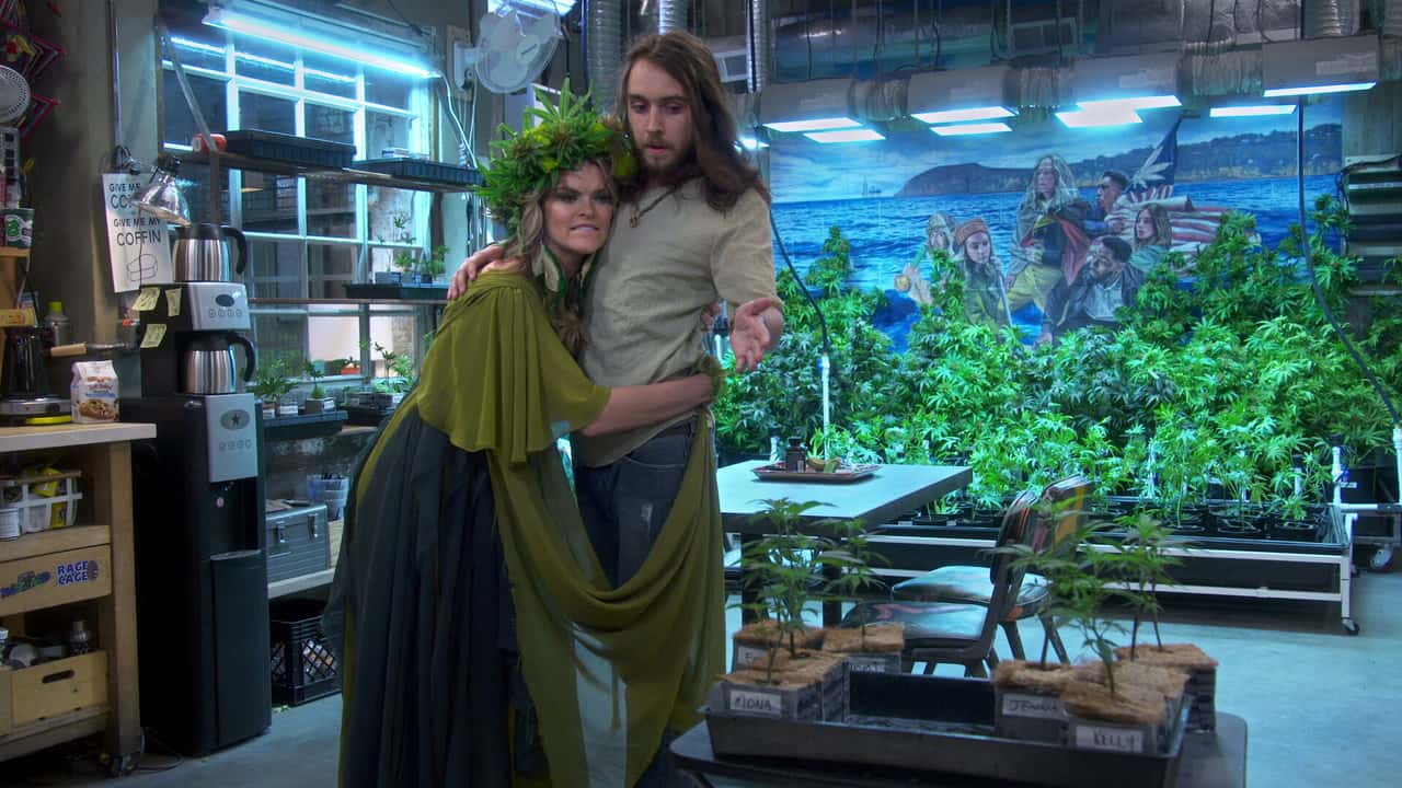 Disjointed 1. Sezon 12. Bölüm kapak