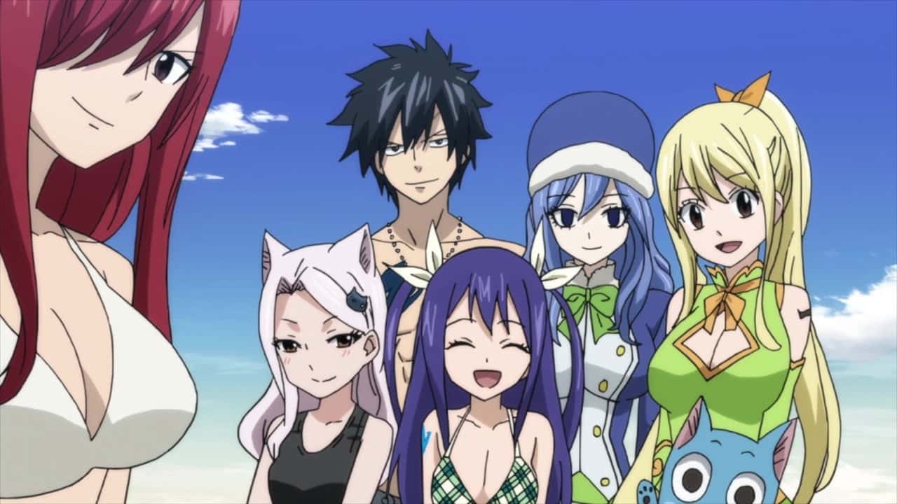 Fairy Tail 8. Sezon 11. Bölüm kapak
