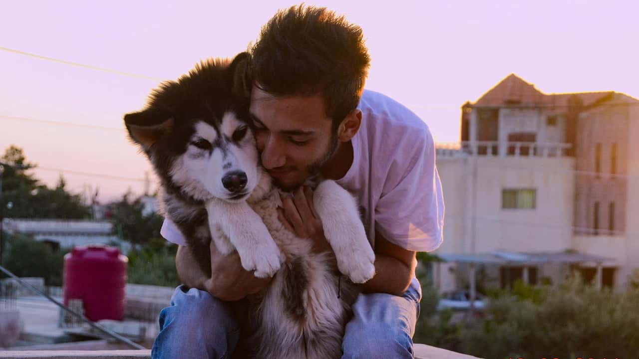 Köpekler 1. Sezon 2. Bölüm kapak