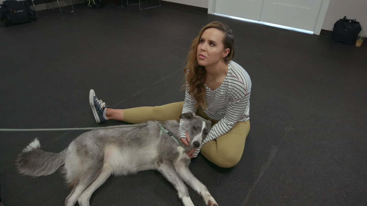 Köpekler 2. Sezon 3. Bölüm kapak