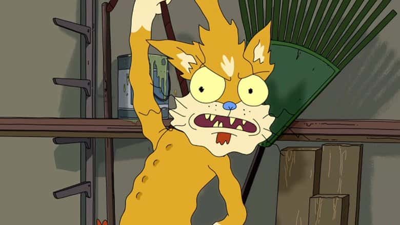 Rick and Morty 1. Sezon 11. Bölüm kapak