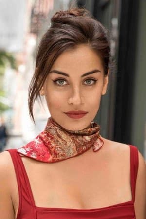 Lara Wolf filmleri