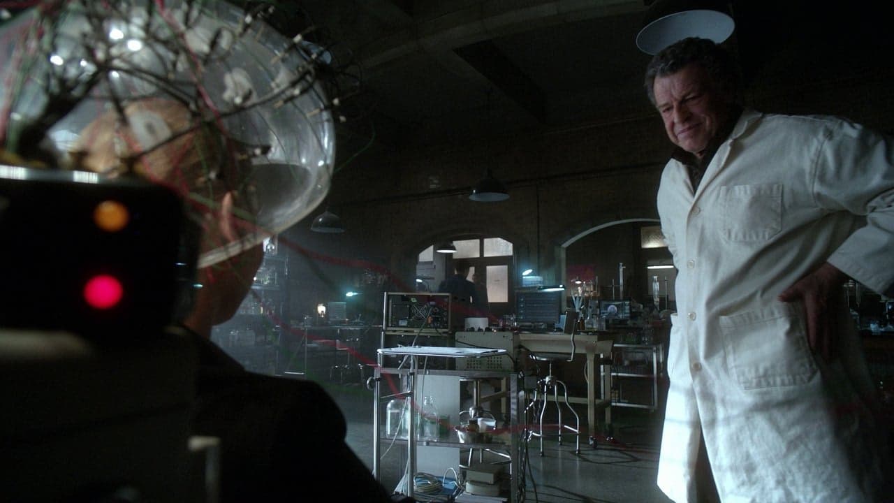 13. Bölüm