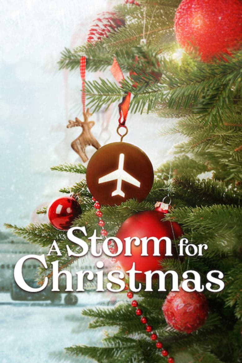 A Storm for Christmas 1. Sezon Posteri