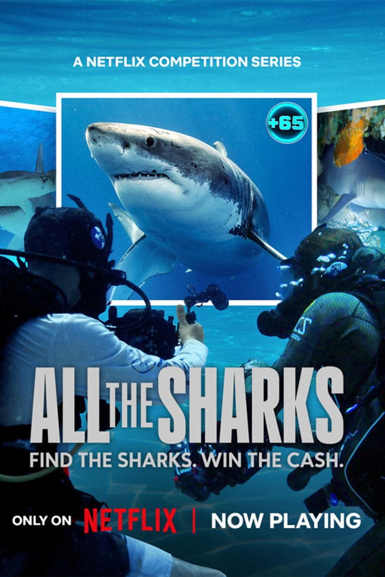 All the Sharks 1. Sezon Posteri