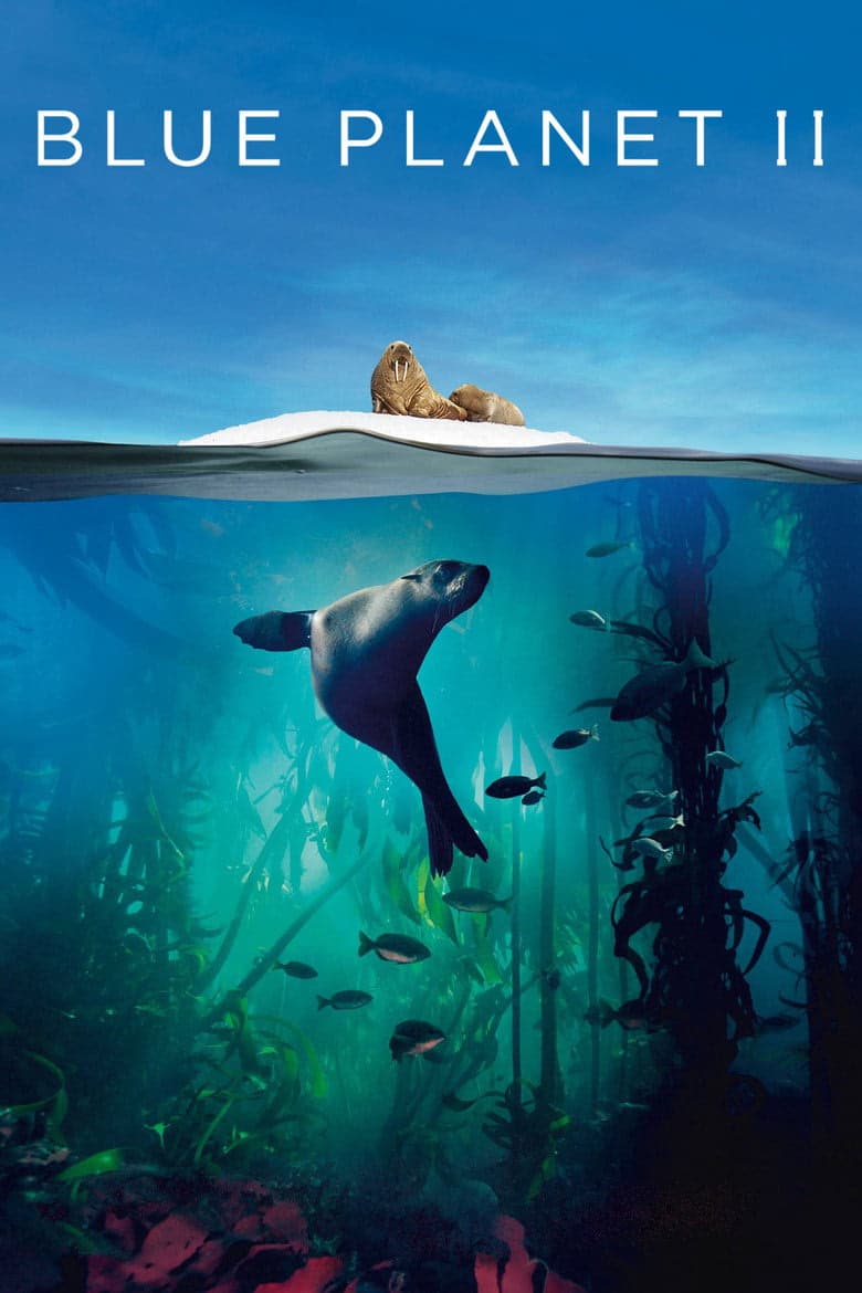 Blue Planet II 1. Sezon Posteri