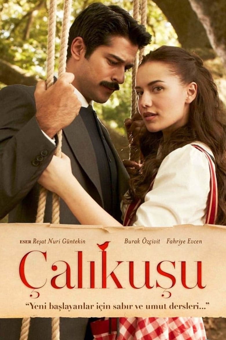 Çalıkuşu 1. Sezon Posteri