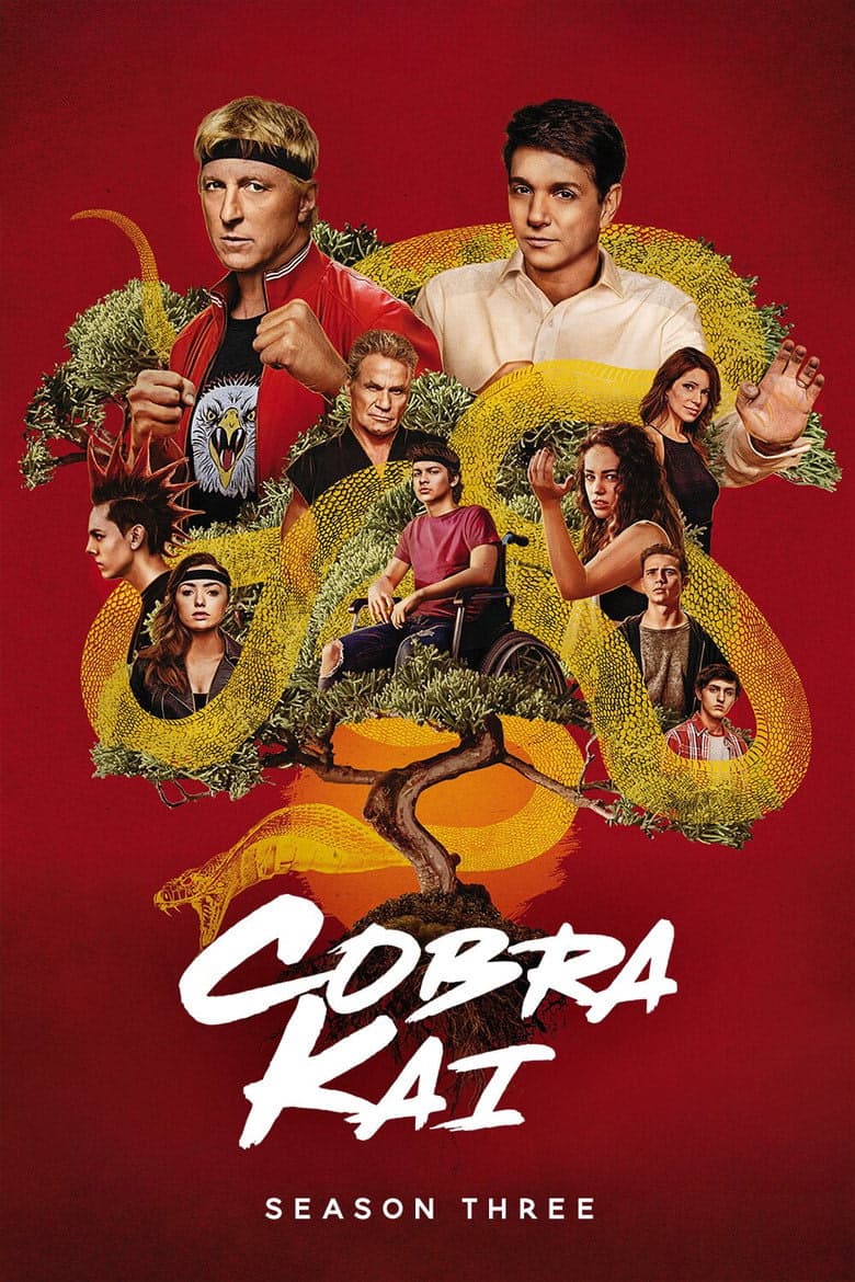 Cobra Kai 3. Sezon Posteri
