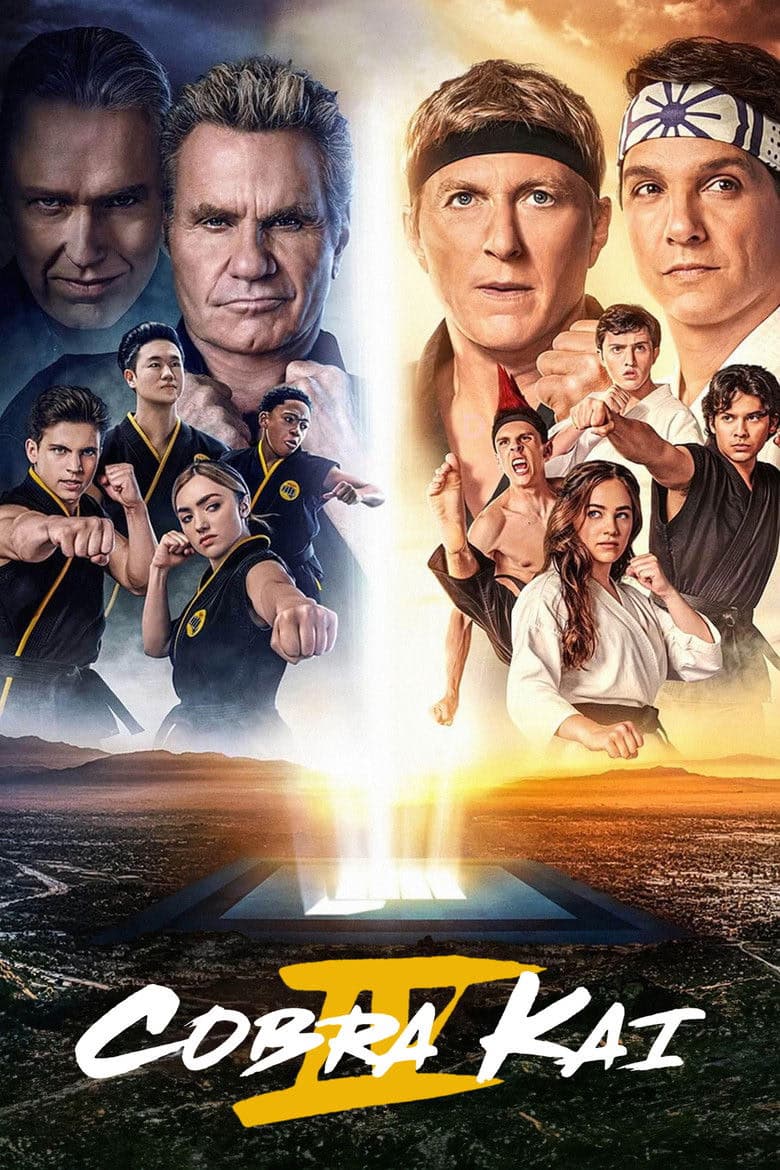 Cobra Kai 4. Sezon Posteri