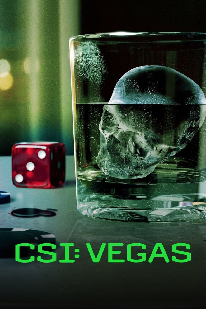 CSI: Vegas 3. Sezon Posteri