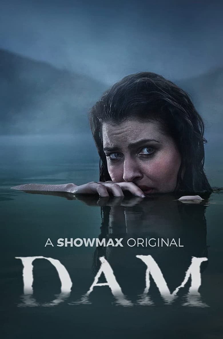 Dam 1. Sezon Posteri