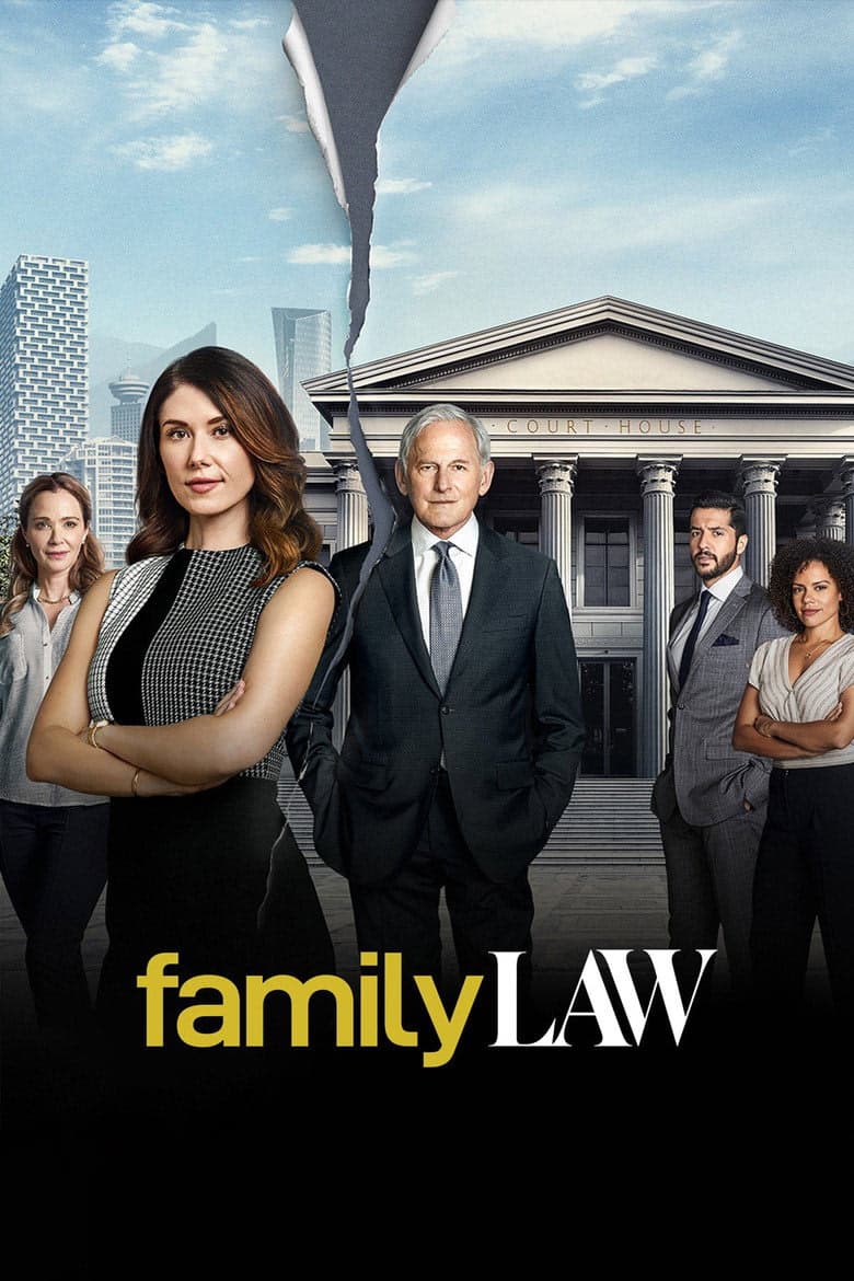 Family Law 1. Sezon Posteri