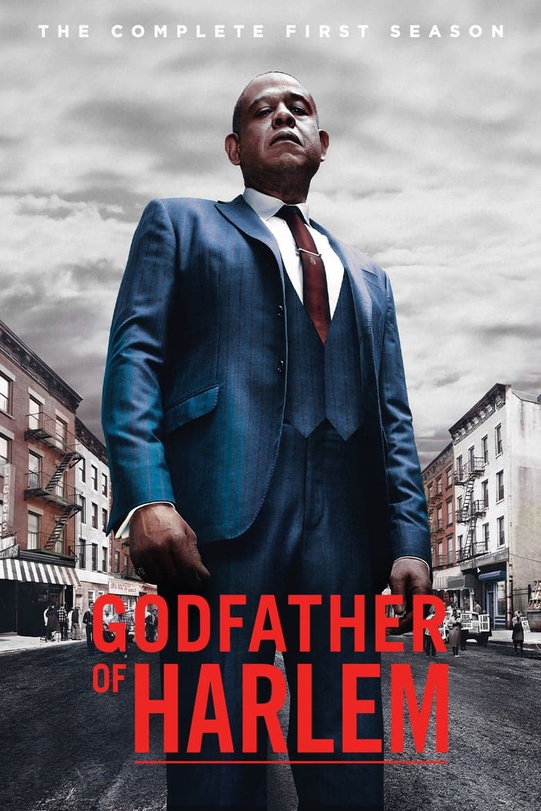 Godfather of Harlem 1. Sezon Posteri