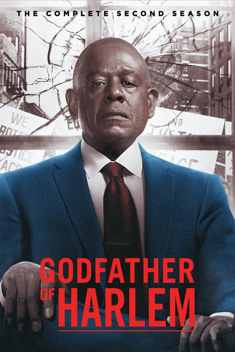 Godfather of Harlem 2. Sezon Posteri