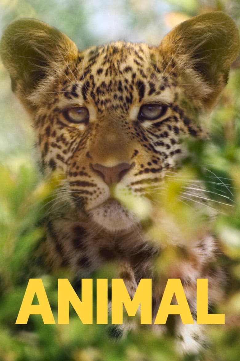 Hayvanların Sırları 1. Sezon Posteri