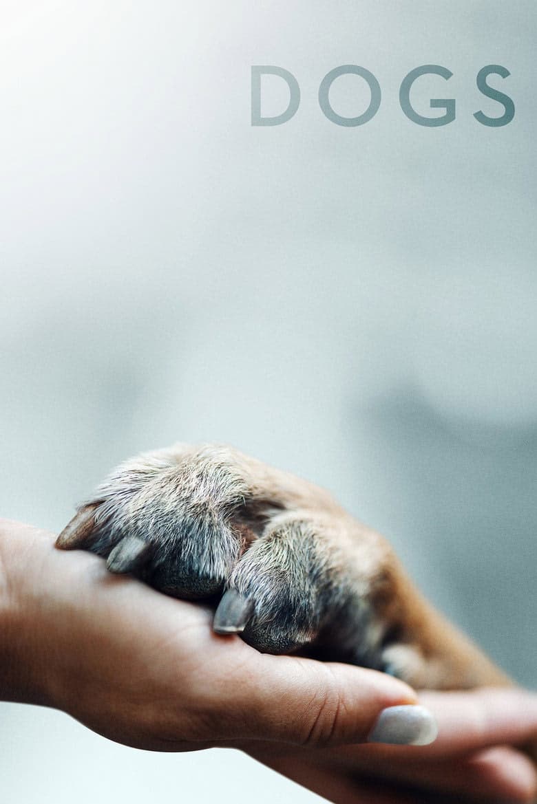 Köpekler 1. Sezon Posteri