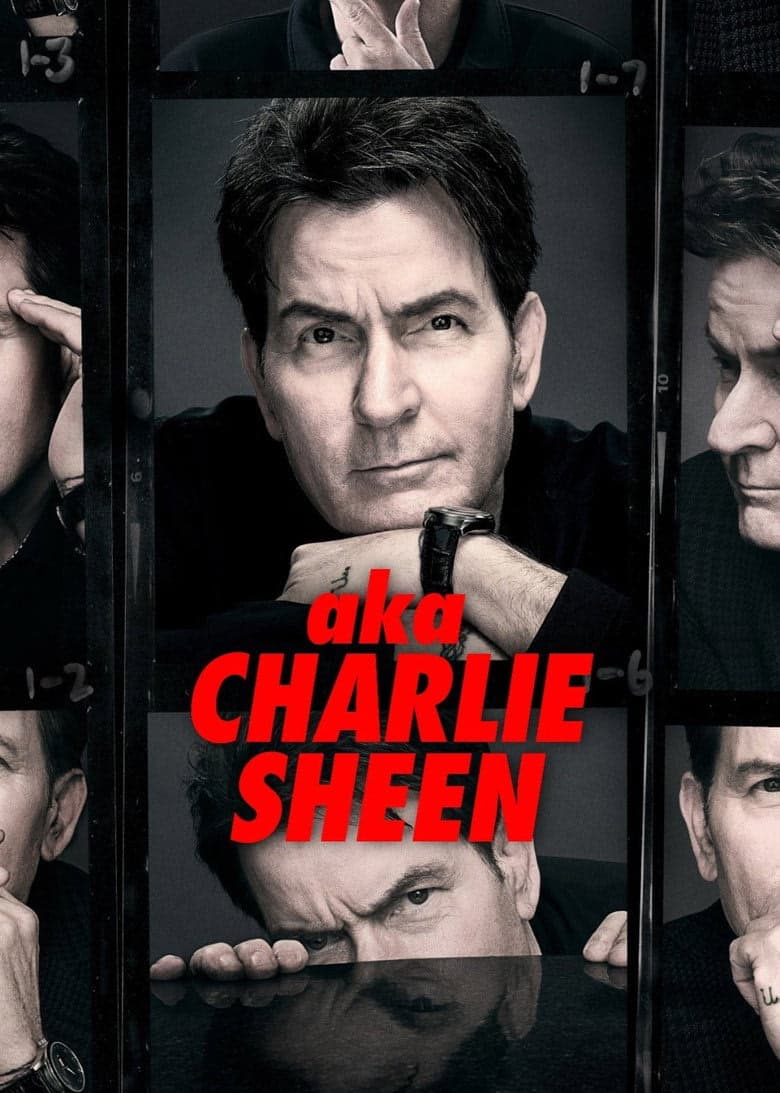 Namıdiğer Charlie Sheen 1. Sezon Posteri