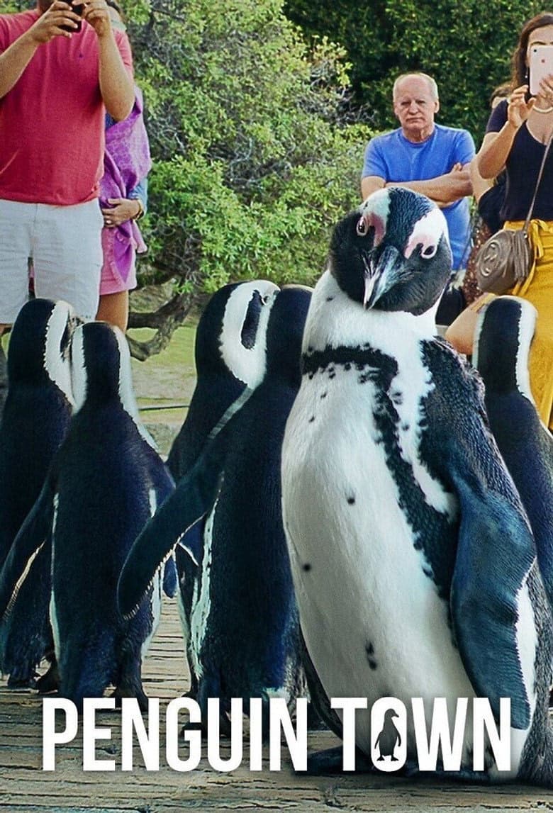 Penguen Kolonisi 1. Sezon Posteri