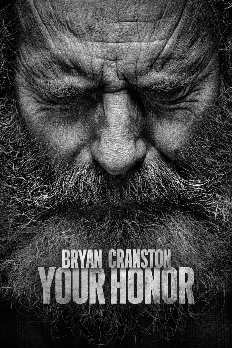 Your Honor 2. Sezon Posteri