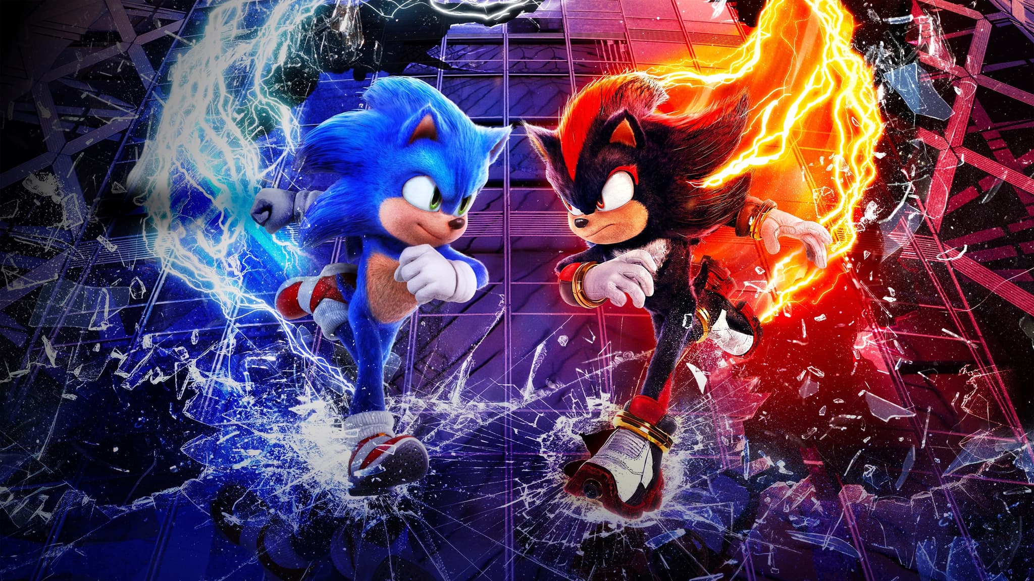Kirpi Sonic