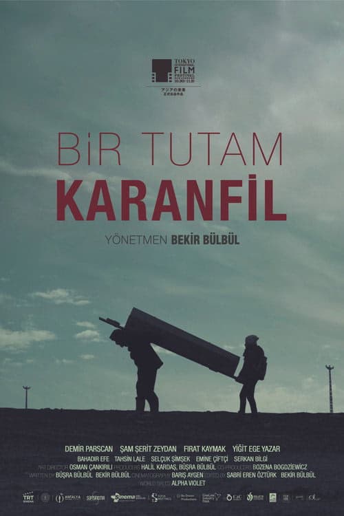 Bir Tutam Karanfil izle