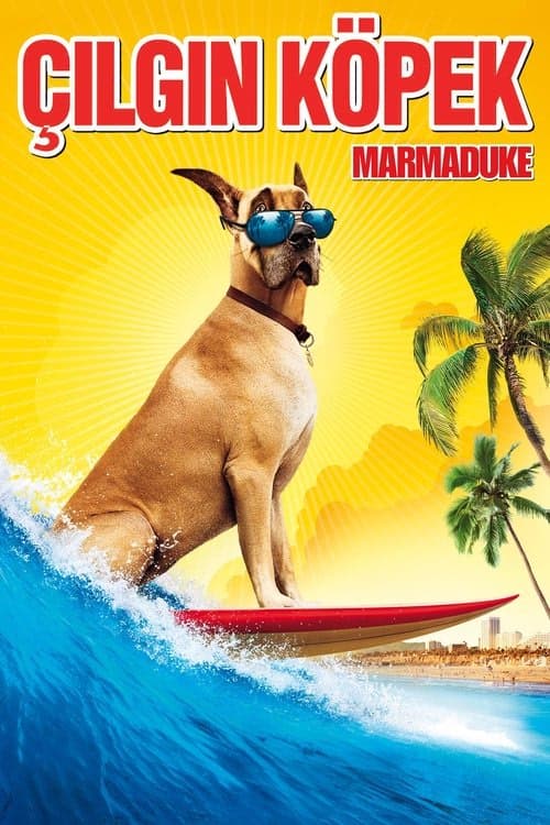 Çılgın Köpek izle