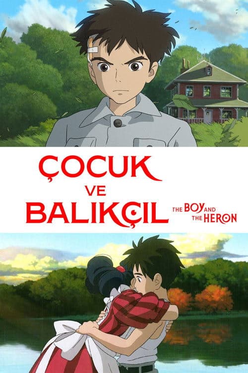 Çocuk ve Balıkçıl izle
