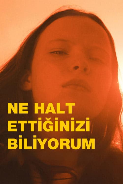 Ne Halt Ettiğinizi Biliyorum izle