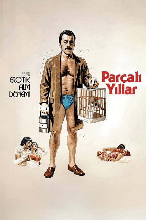 Parçalı Yıllar izle