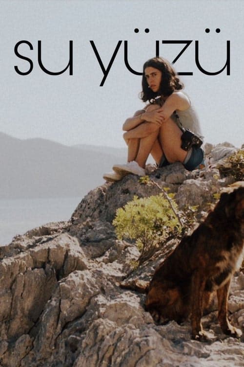 Su Yüzü izle