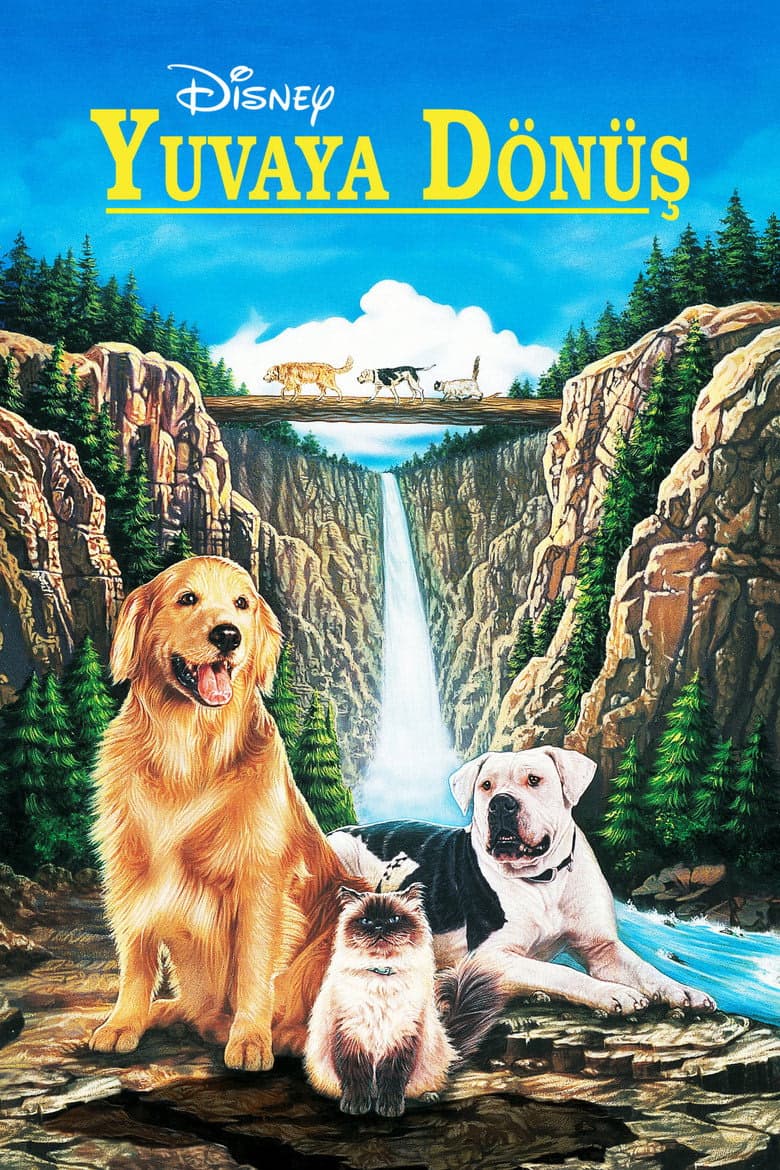 Yuvaya Dönüş izle