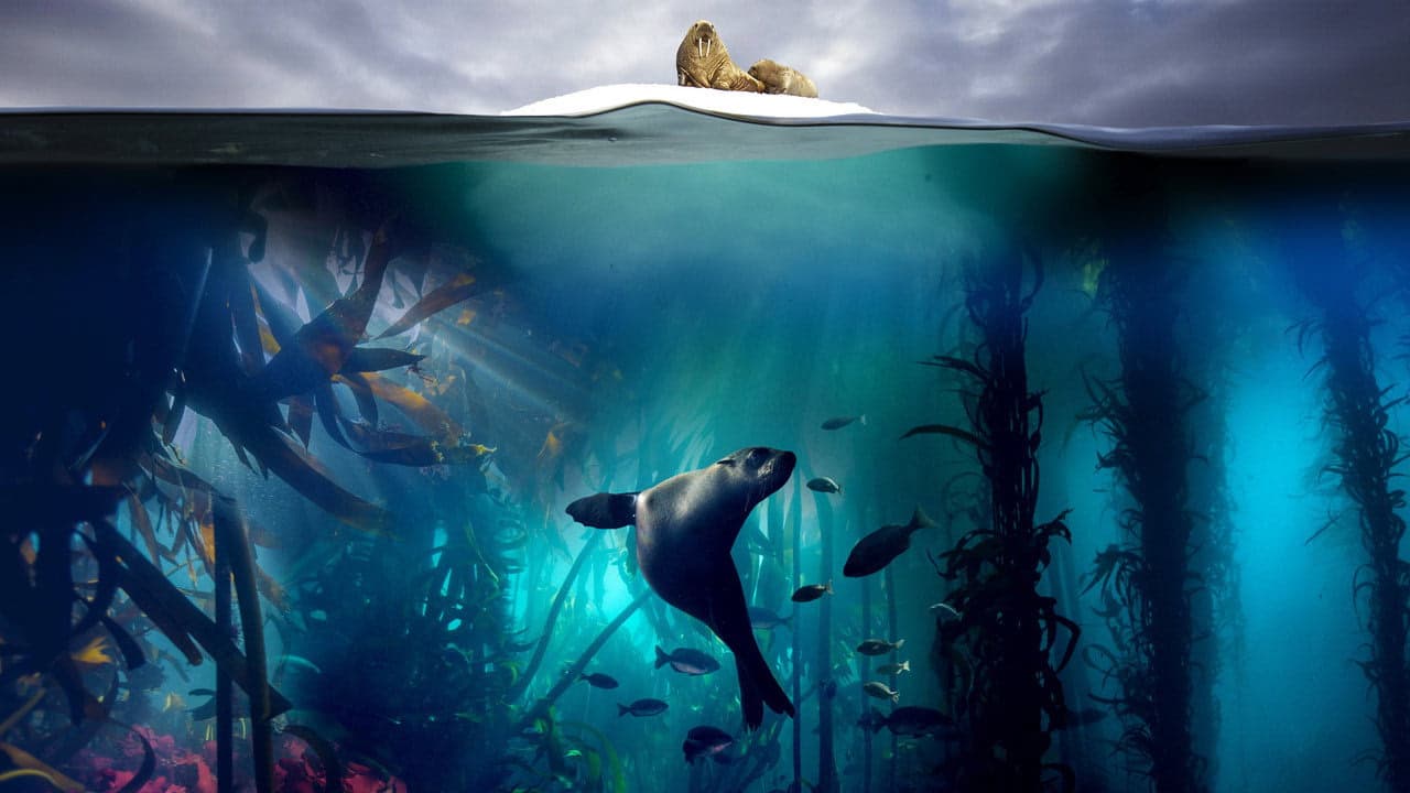 Blue Planet II arka plan