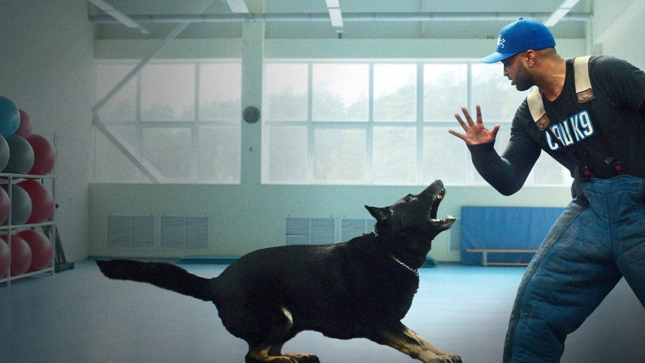Canine Intervention arka plan