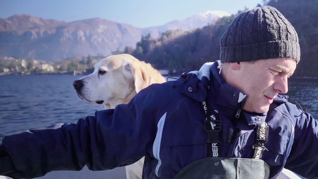 Köpekler arka plan