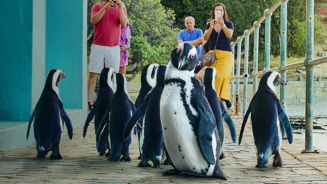 Penguen Kolonisi arka plan