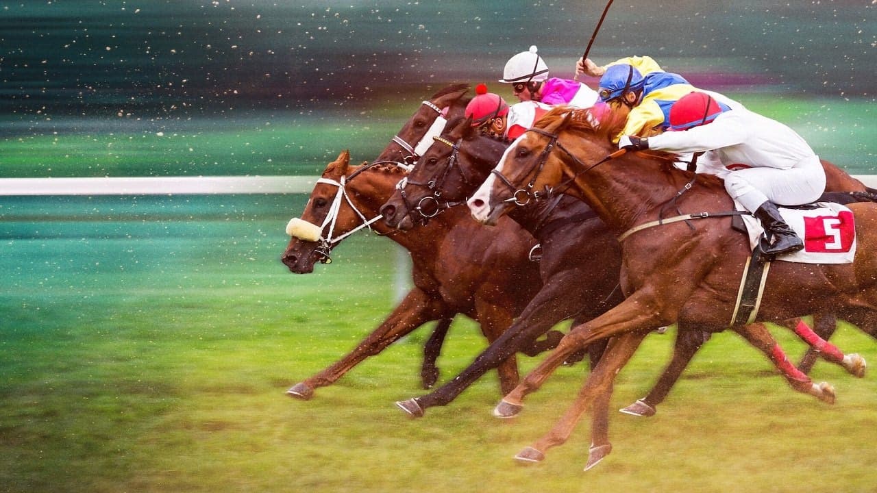 Race for the Crown arka plan