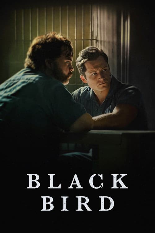 Black Bird izle