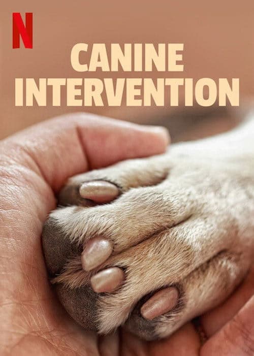 Canine Intervention izle