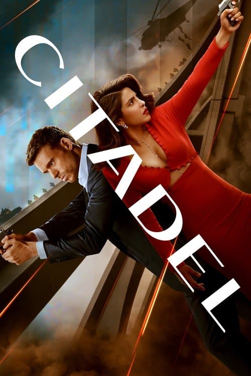 Citadel 1. Sezon Posteri