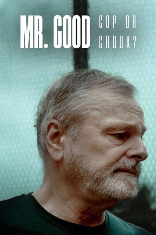 Mr. Good: Cop or Crook? izle