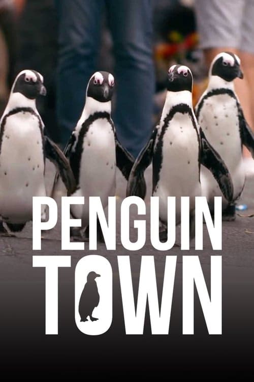 Penguen Kolonisi izle