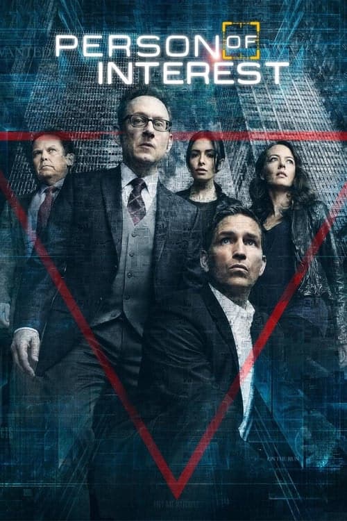 Person of Interest izle