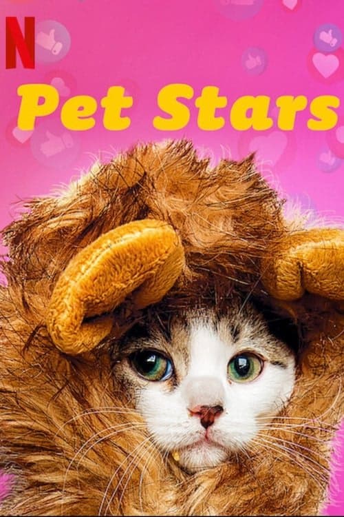 Pet Stars izle