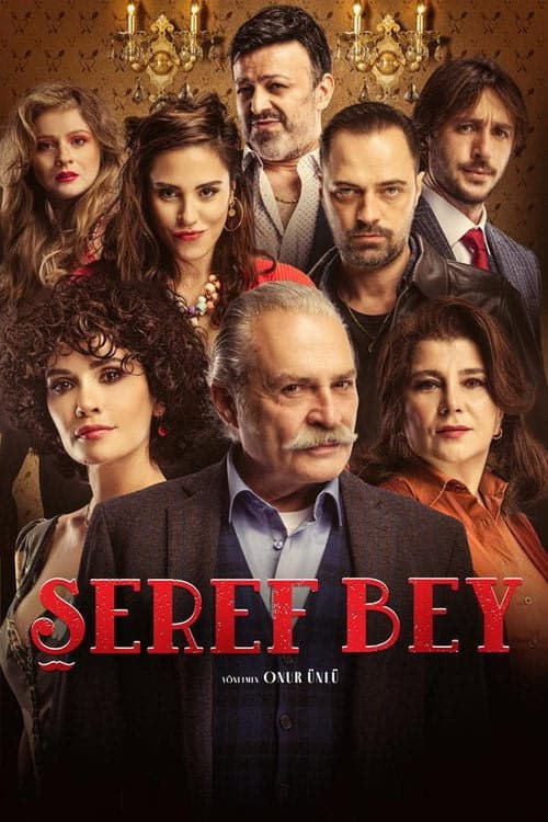 Şeref Bey 1. Sezon Posteri
