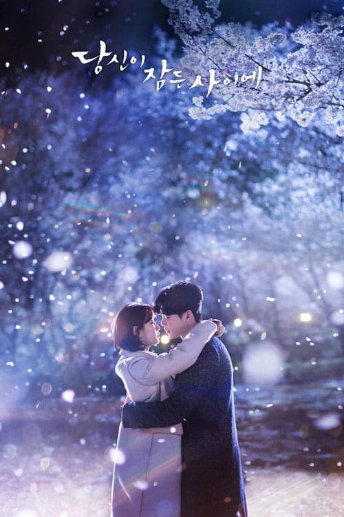 While You Were Sleeping izle