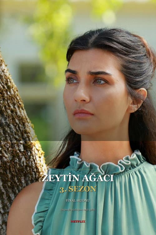 Zeytin Ağacı 3. Sezon Posteri