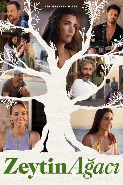 Zeytin Ağacı izle